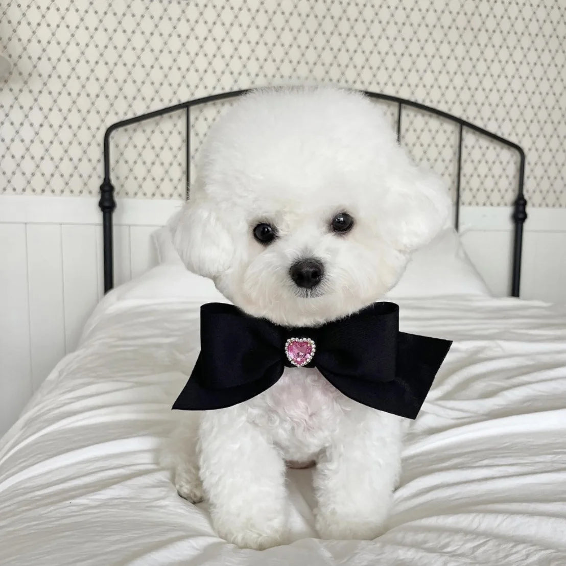 Bow Collar Pet Dog Necktie