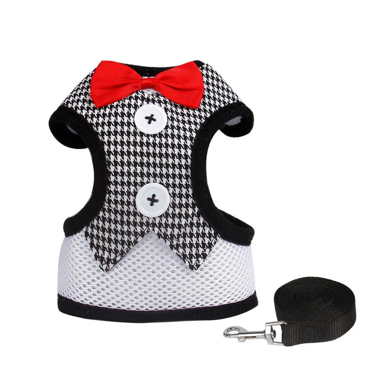 Harness Leash Set For Medium Dog