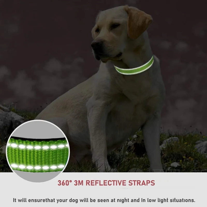 Dog Neck Choker Collar