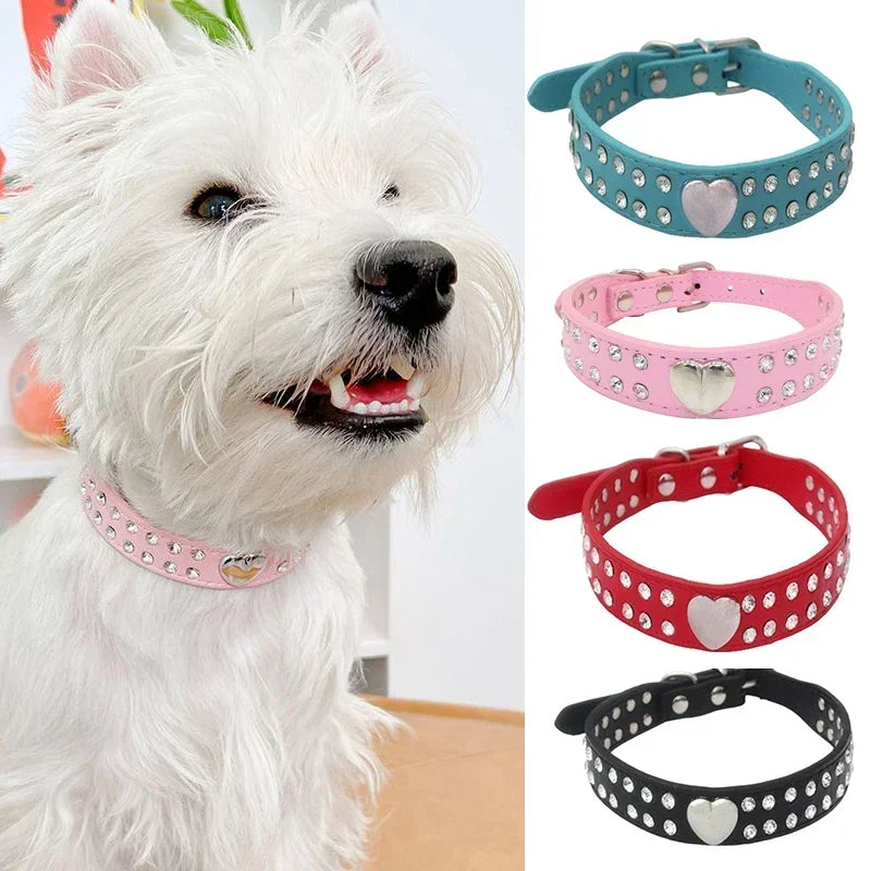 Fashion Yorkie Dog Party Collar