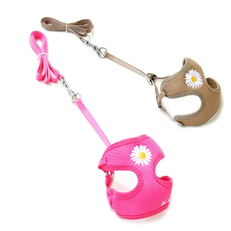 Harness and Leash for Small and Medium Dogs