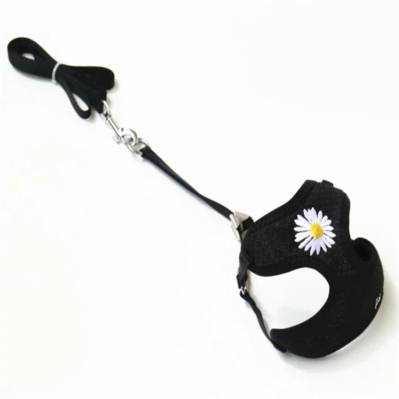 Harness and Leash for Small and Medium Dogs