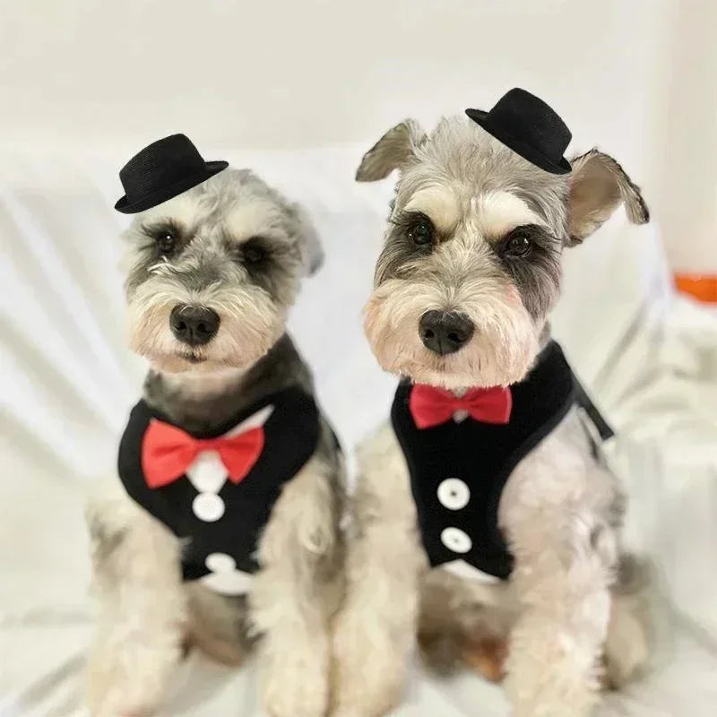 Bowtie Pet Harness Vest with Leash