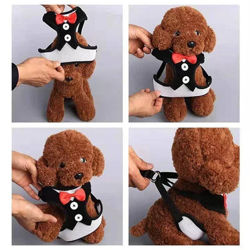 Bowtie Pet Harness Vest with Leash