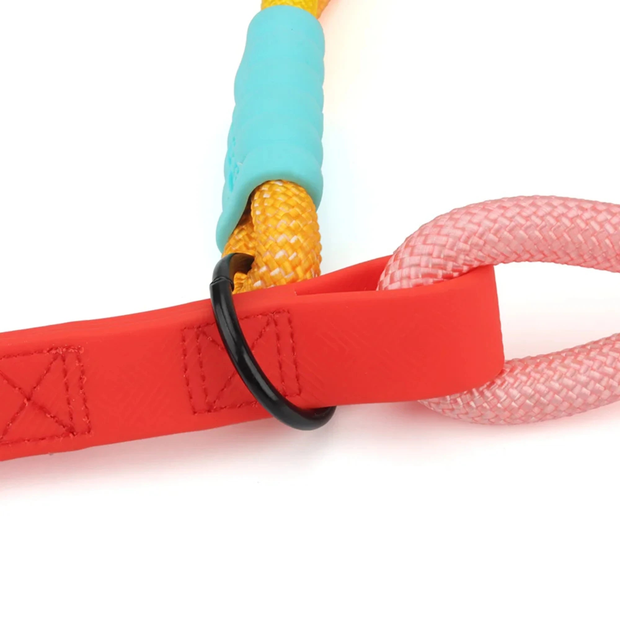 Colorful Dog Collar