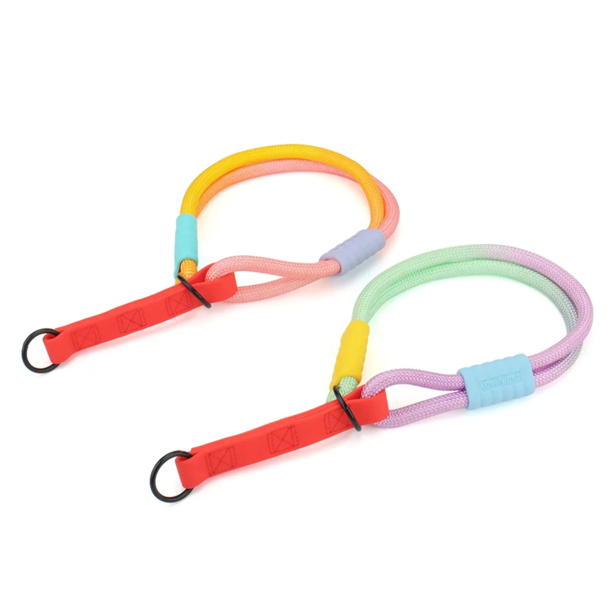 Colorful Dog Collar