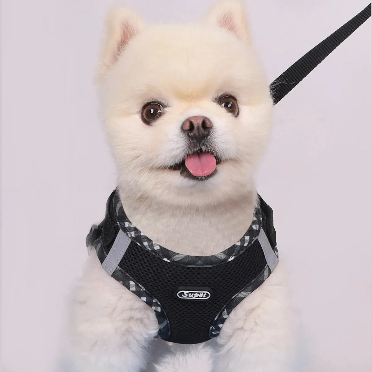 Adjustable Anti-Pull Pet Harness