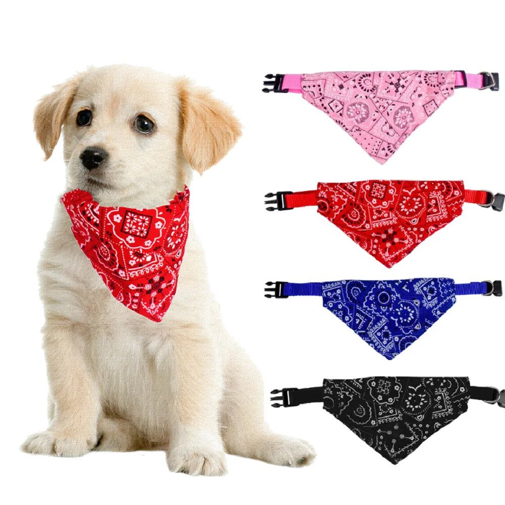 Pattern Pet Bandana