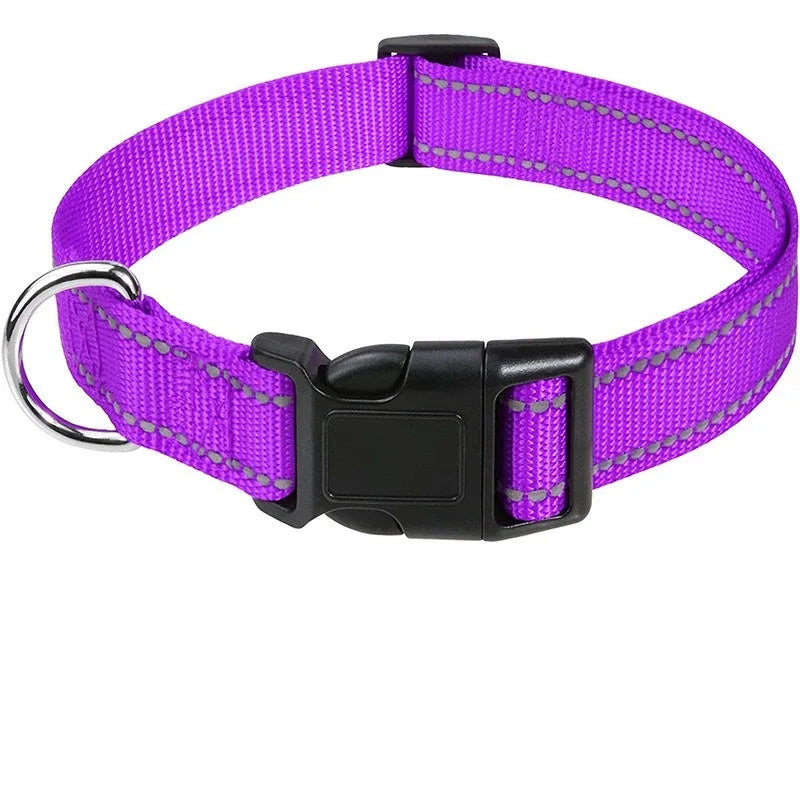 Dog Neck Choker Collar