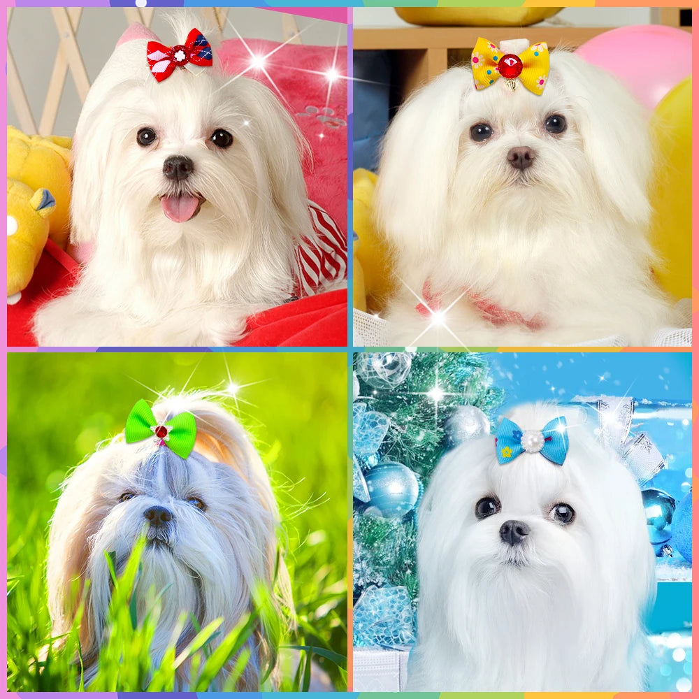 Small Dogs Hair Accessories
