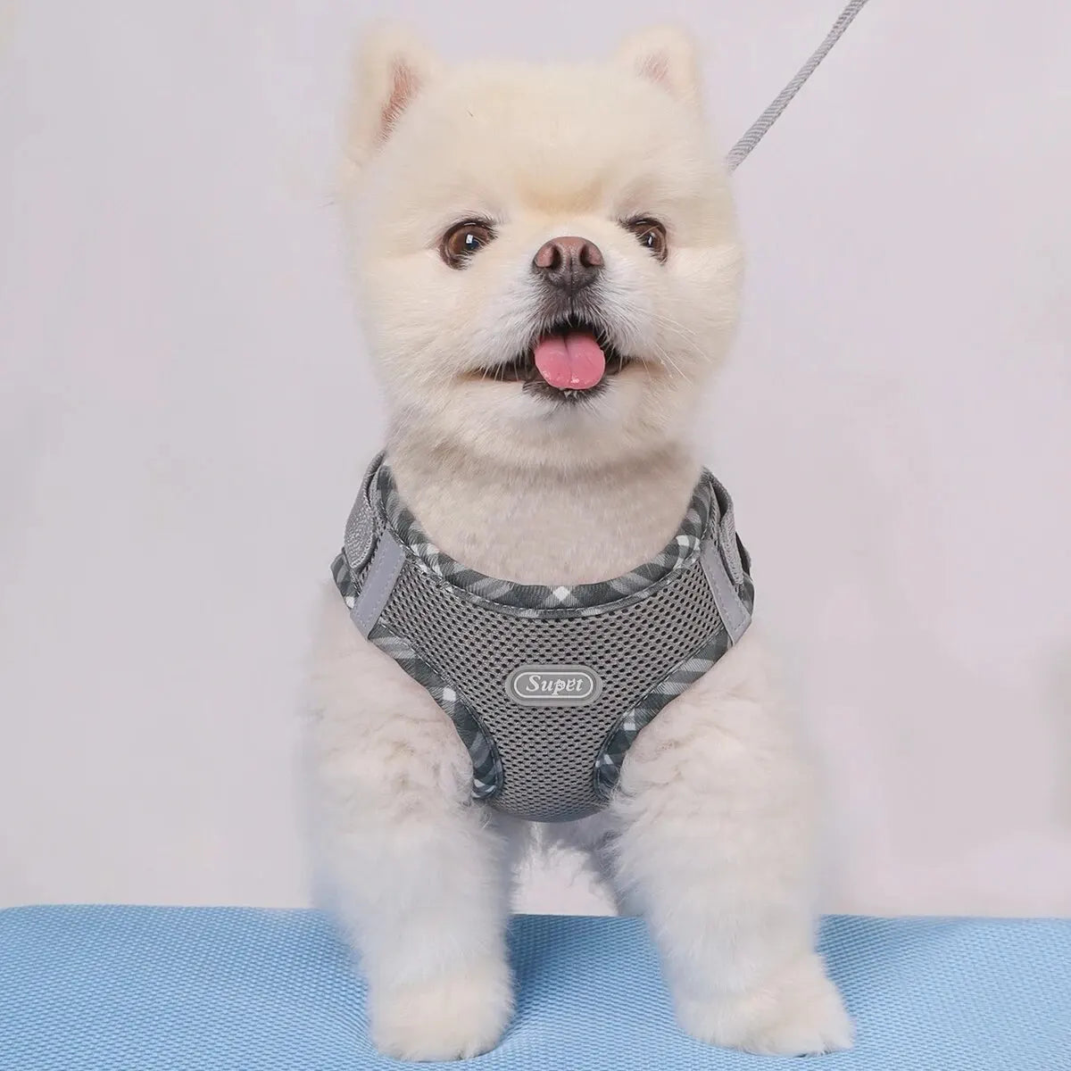 Adjustable Anti-Pull Pet Harness