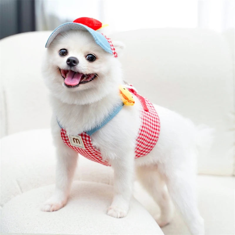 York Dogs Harness Leash Set