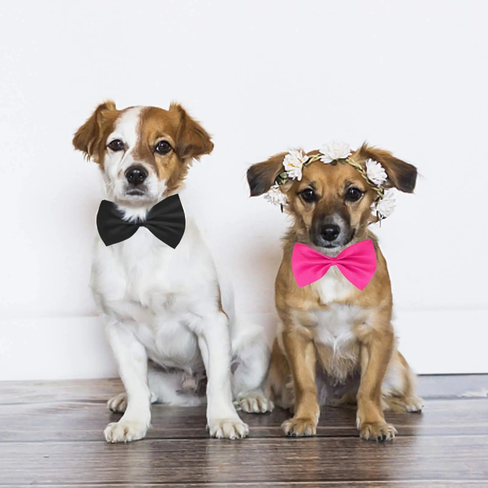 Pet Adjustable Bowtie