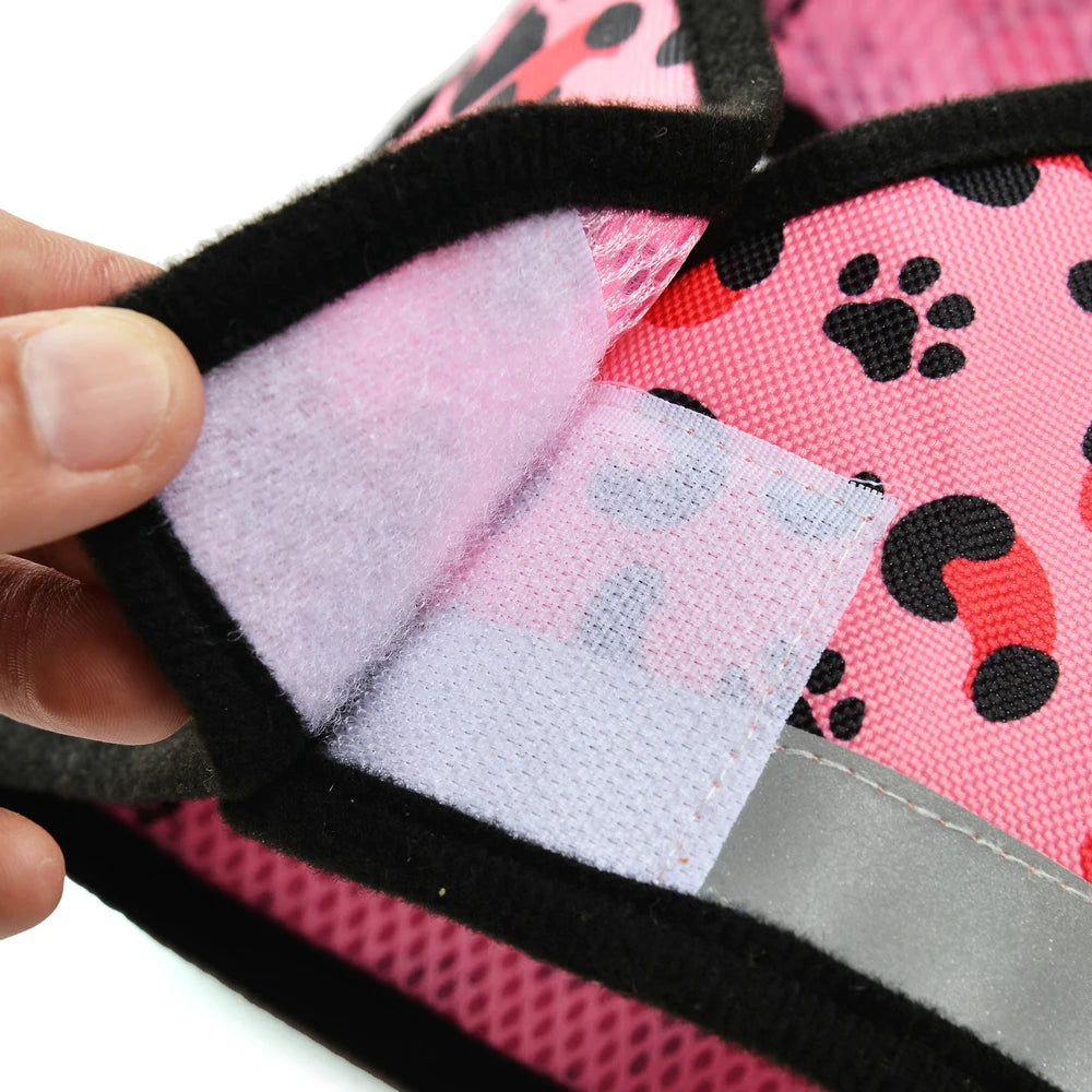 Breathable Dog Harness For Small Medium Dogs