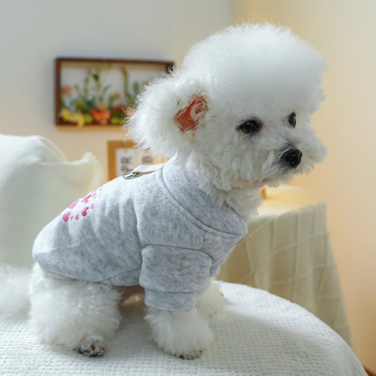 1PC Pet Clothing Dog Valentine's Day