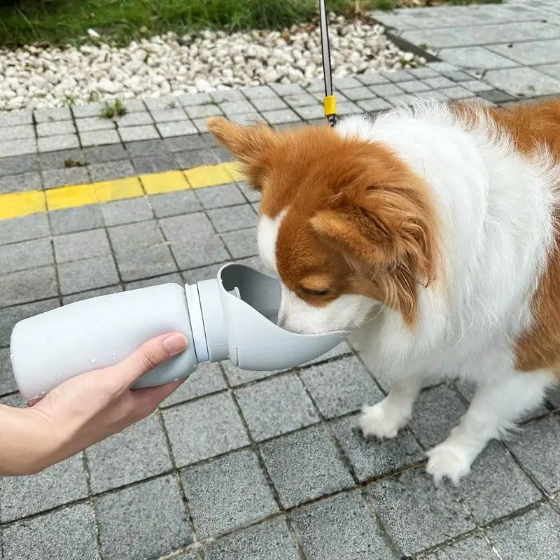 Travel Leakproof Dog Water Bottle