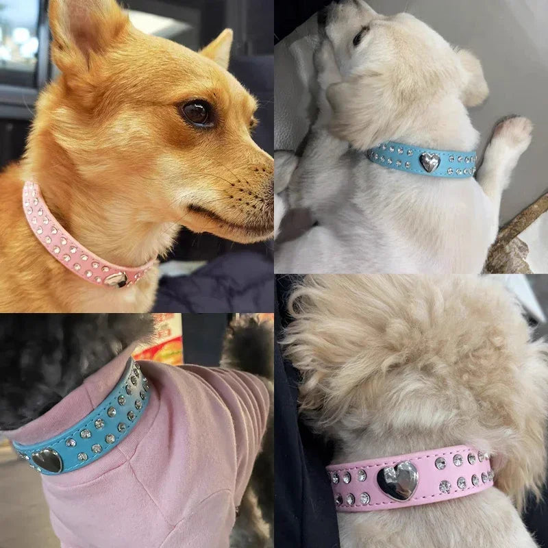 Fashion Yorkie Dog Party Collar