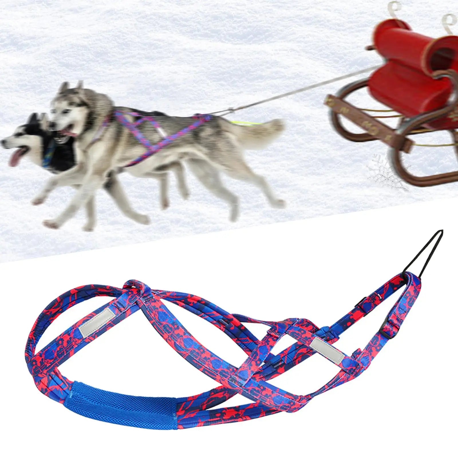Dog Running Harness