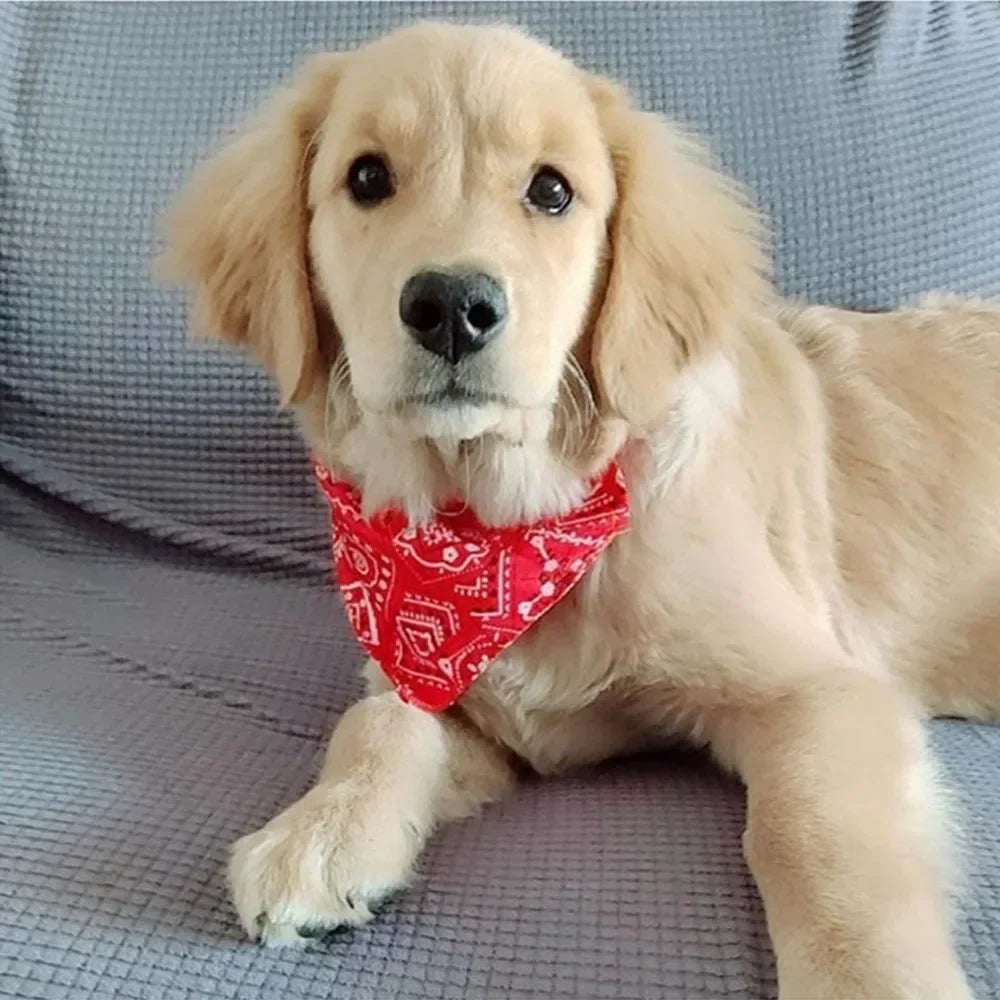Dog Bandana Collar Scarf