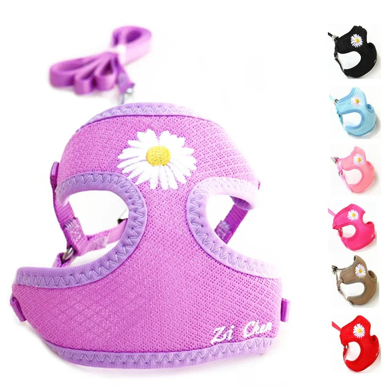 Harness and Leash for Small and Medium Dogs