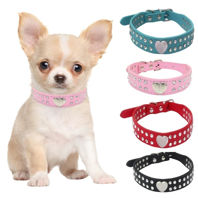 Fashion Yorkie Dog Party Collar
