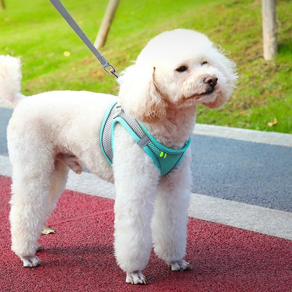 Breathable Adjustable Dog Harness Chest Vest