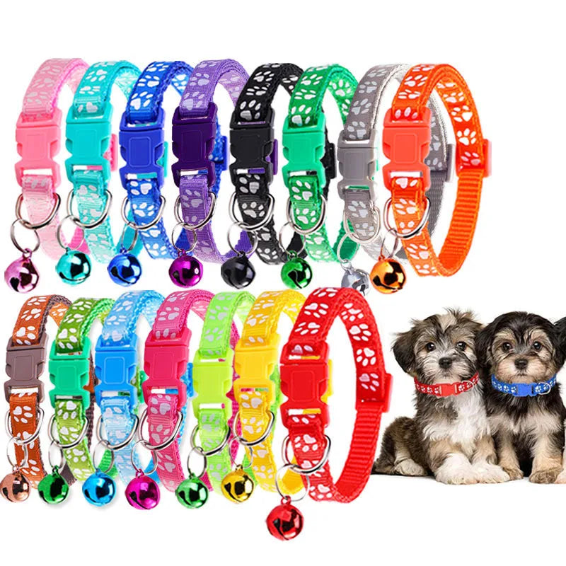 Personalized Designer Dog Collars with Bell
