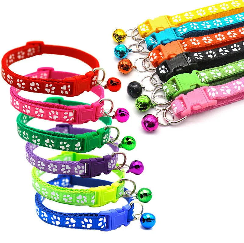 Personalized Designer Dog Collars with Bell