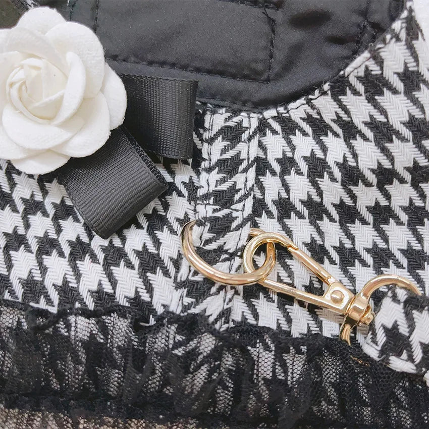Designer Dog Harness and Leash