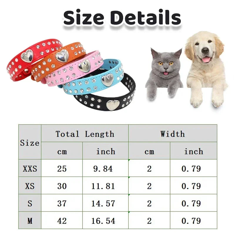 Fashion Yorkie Dog Party Collar