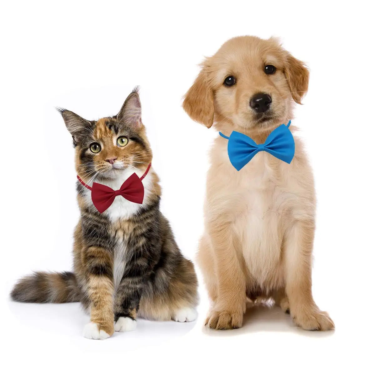 Pet Adjustable Bowtie