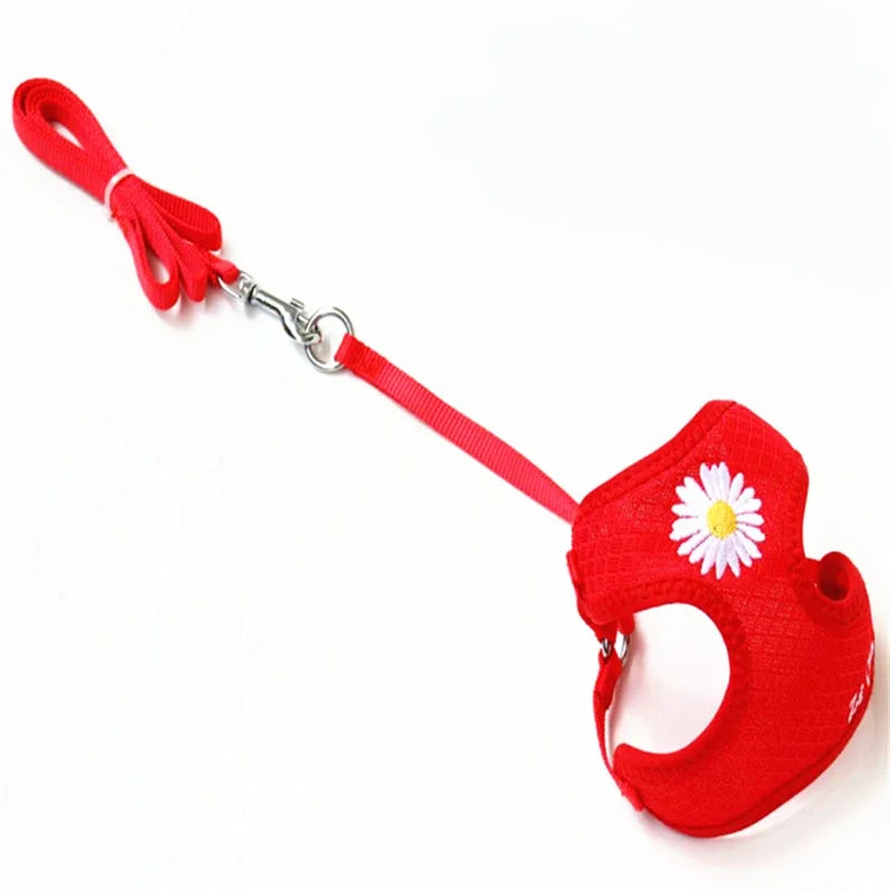 Harness and Leash for Small and Medium Dogs