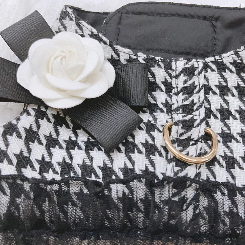 Designer Dog Harness and Leash