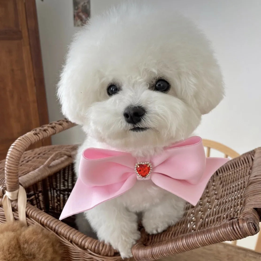 Bow Collar Pet Dog Necktie
