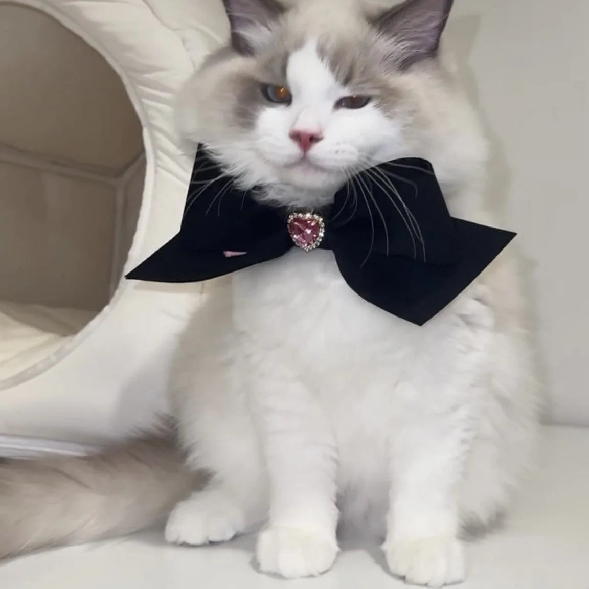 Bow Collar Pet Dog Necktie