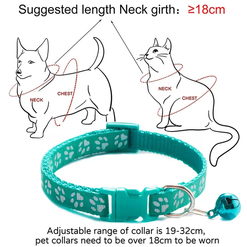 Personalized Designer Dog Collars with Bell