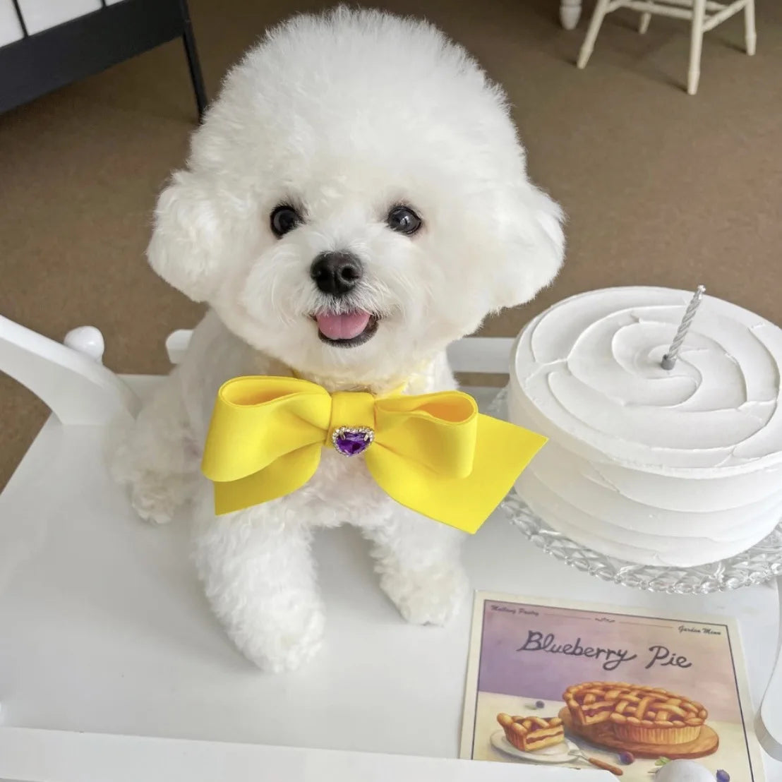 Bow Collar Pet Dog Necktie