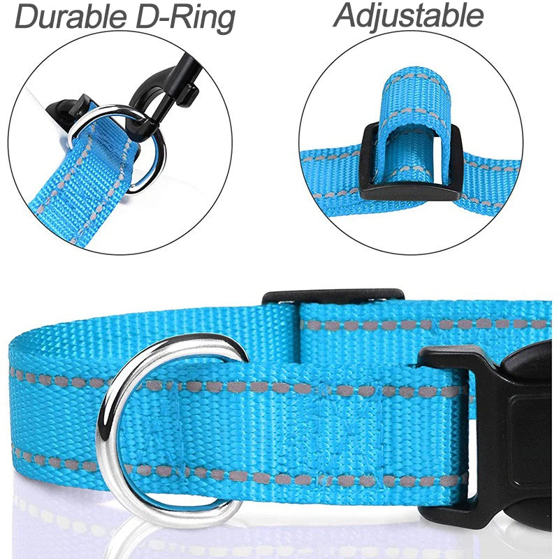 Dog Neck Choker Collar