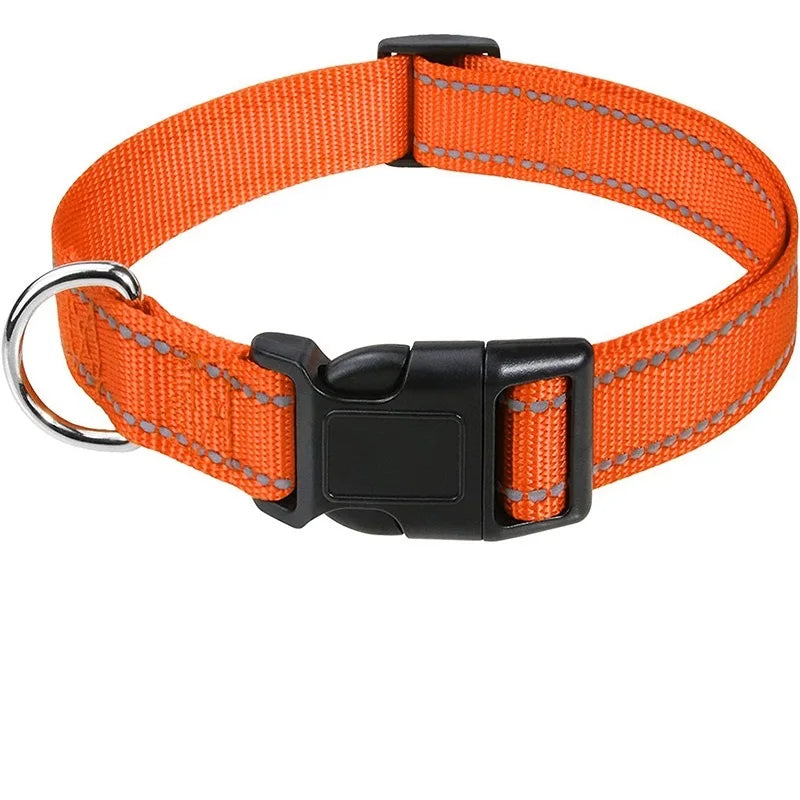 Dog Neck Choker Collar