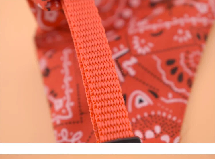 Pattern Pet Bandana