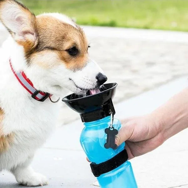 Portable Pet Dog Water Bottle