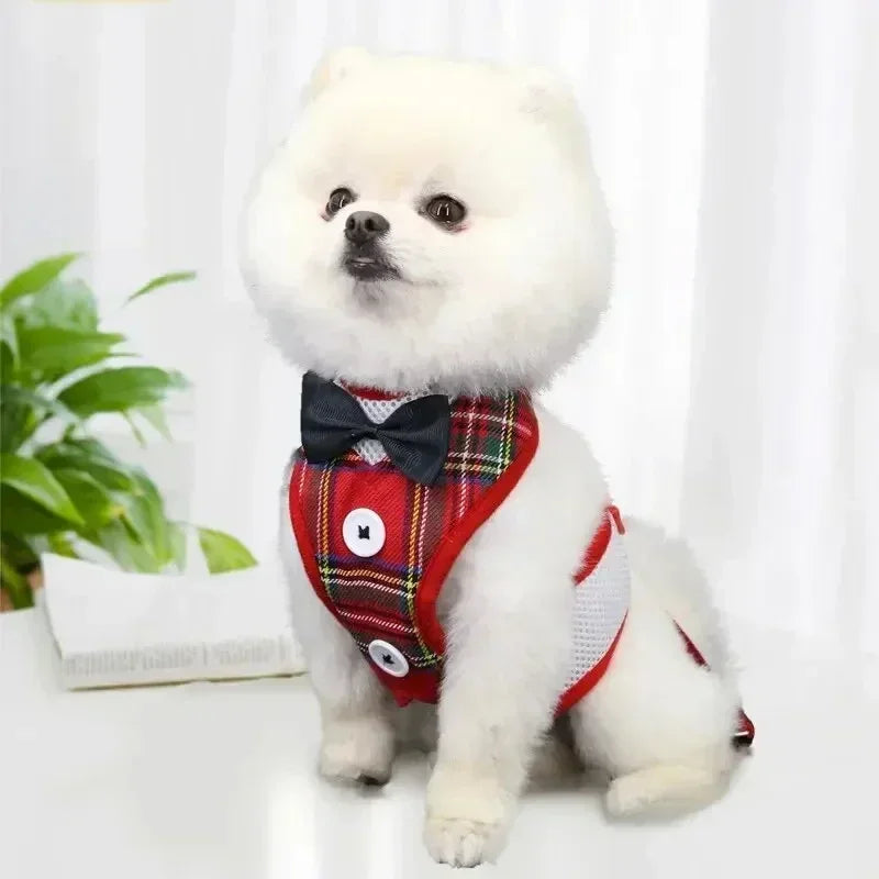 Bowtie Pet Harness Vest with Leash
