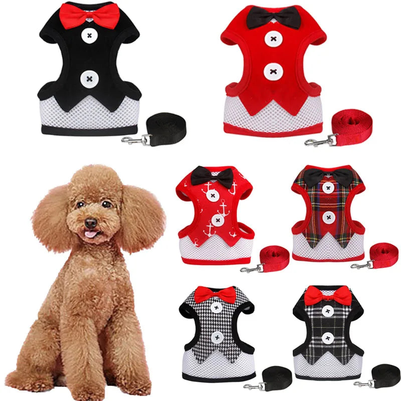 Harness Leash Set For Medium Dog