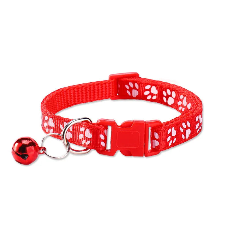 Personalized Designer Dog Collars with Bell