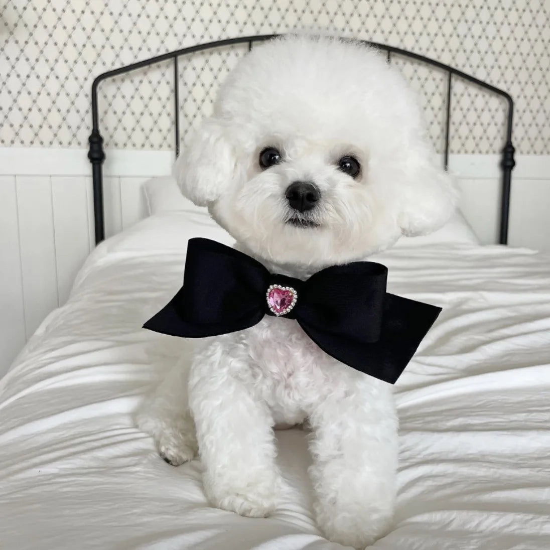 Bow Collar Pet Dog Necktie