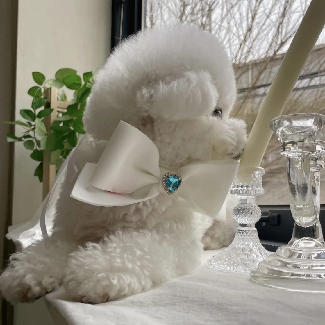 Bow Collar Pet Dog Necktie
