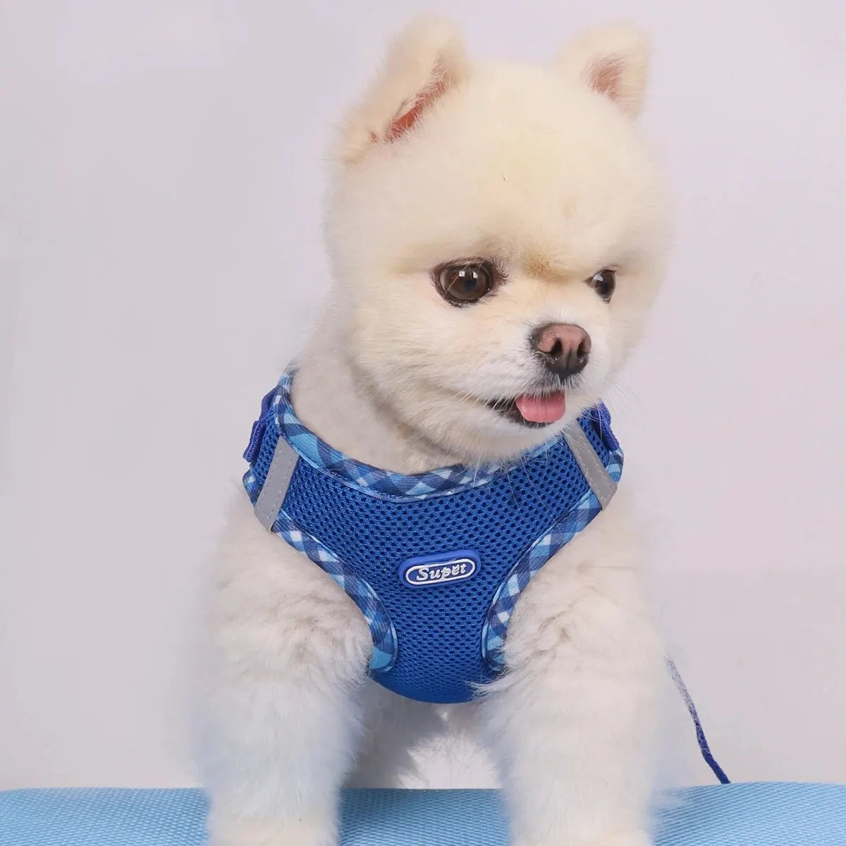 Adjustable Anti-Pull Pet Harness