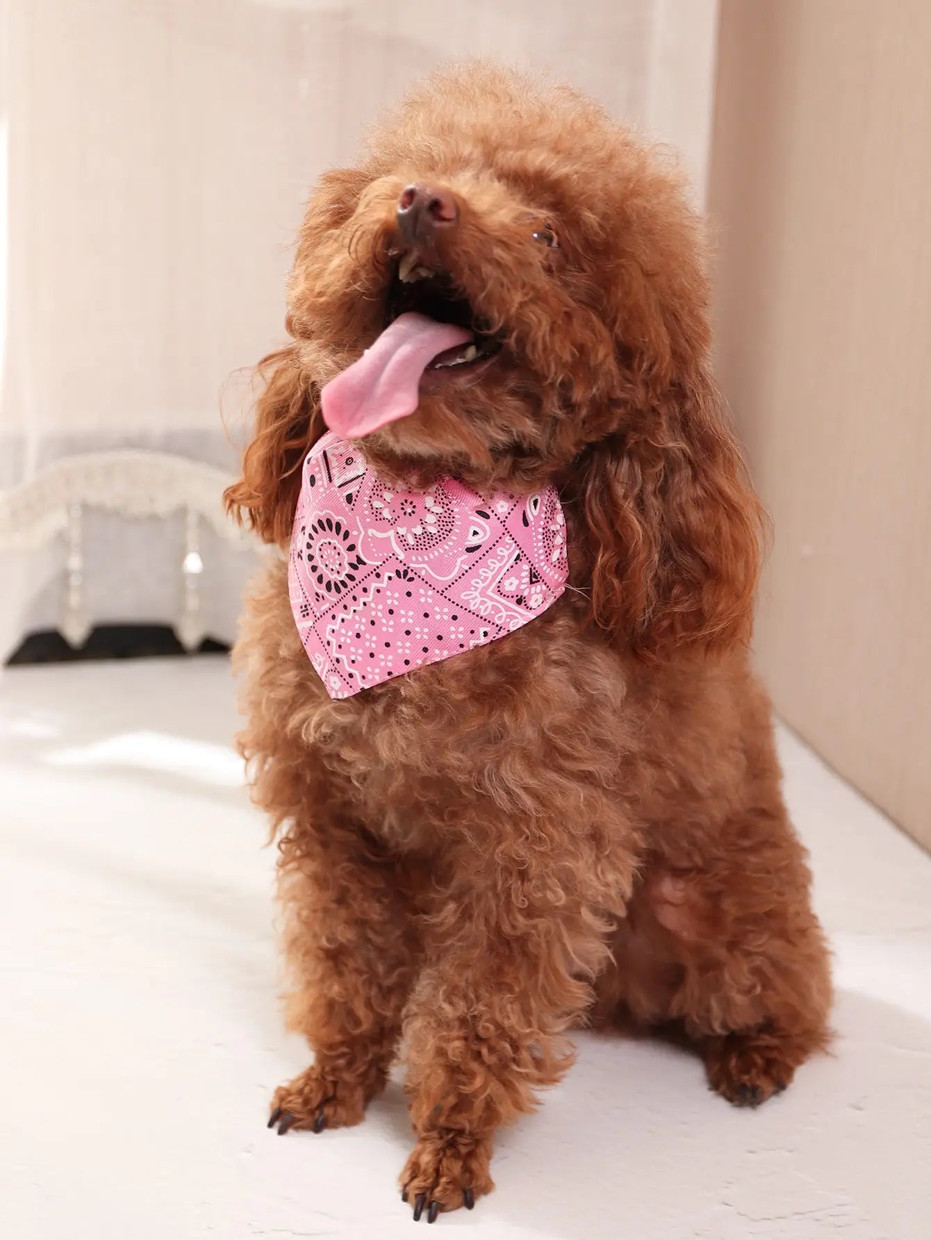 Pattern Pet Bandana