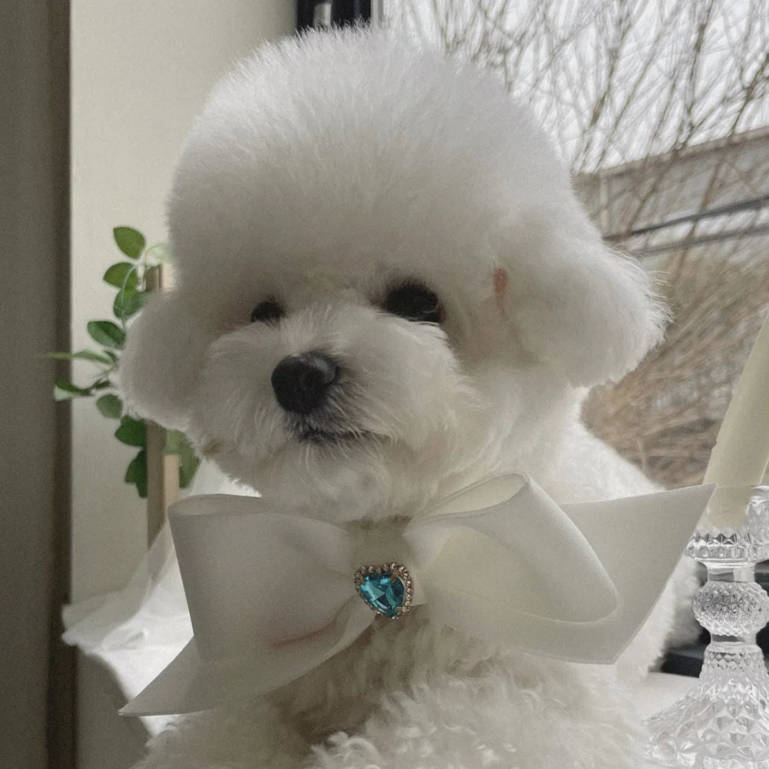 Bow Collar Pet Dog Necktie