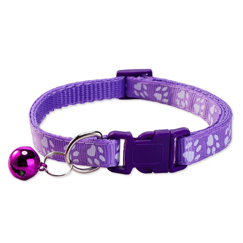 Personalized Designer Dog Collars with Bell